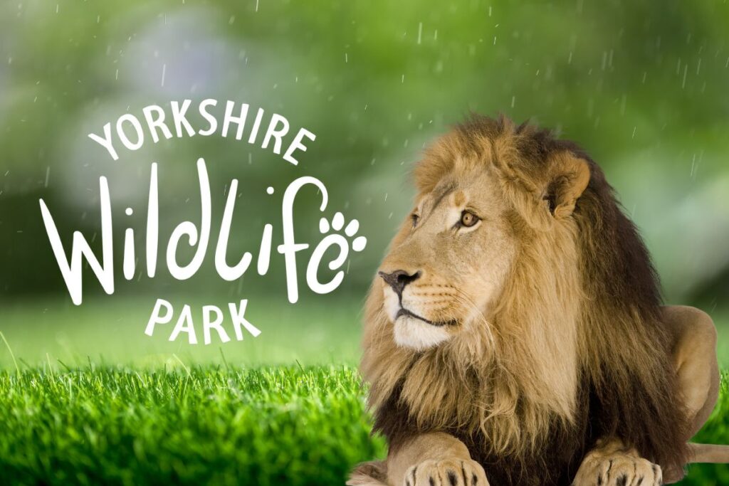 Yorkshire Wildlife Park Ticket
