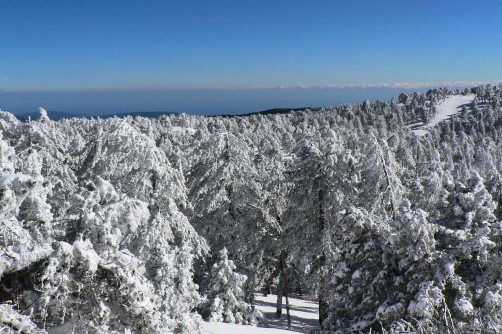 limassol day trips - troodos mountains