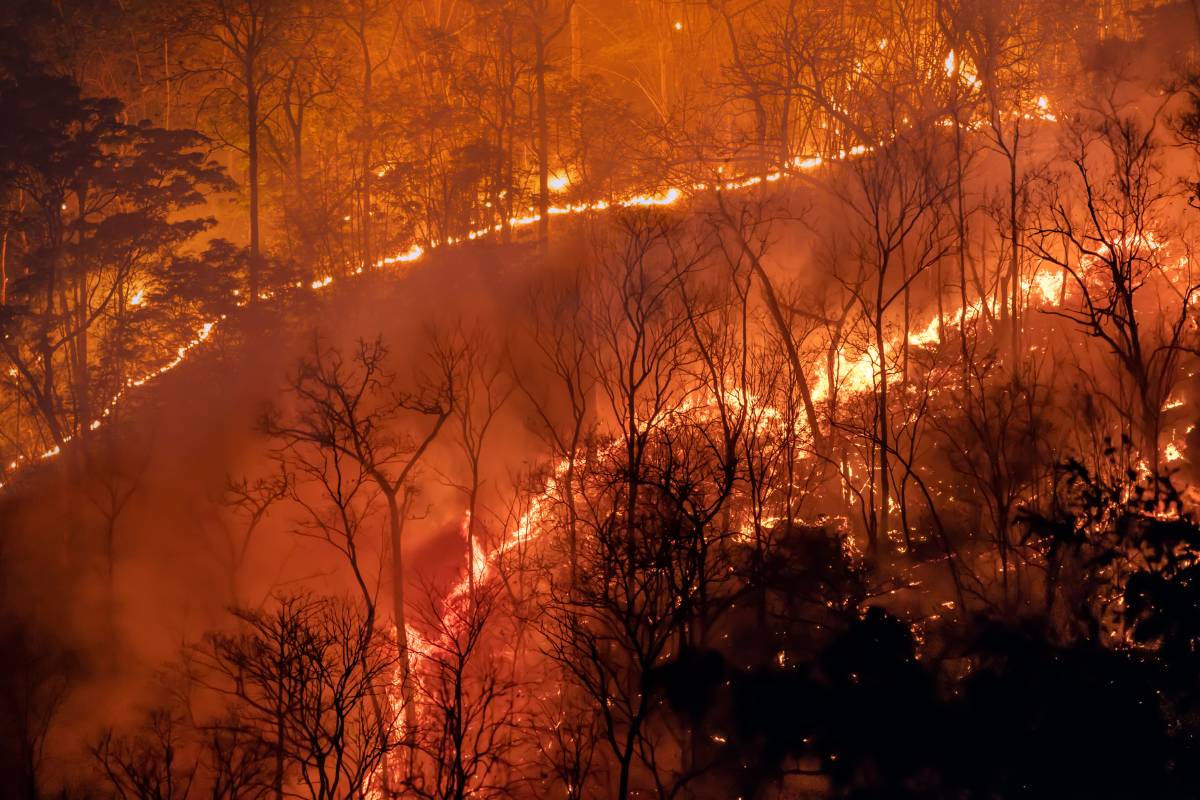 los angeles wildfires