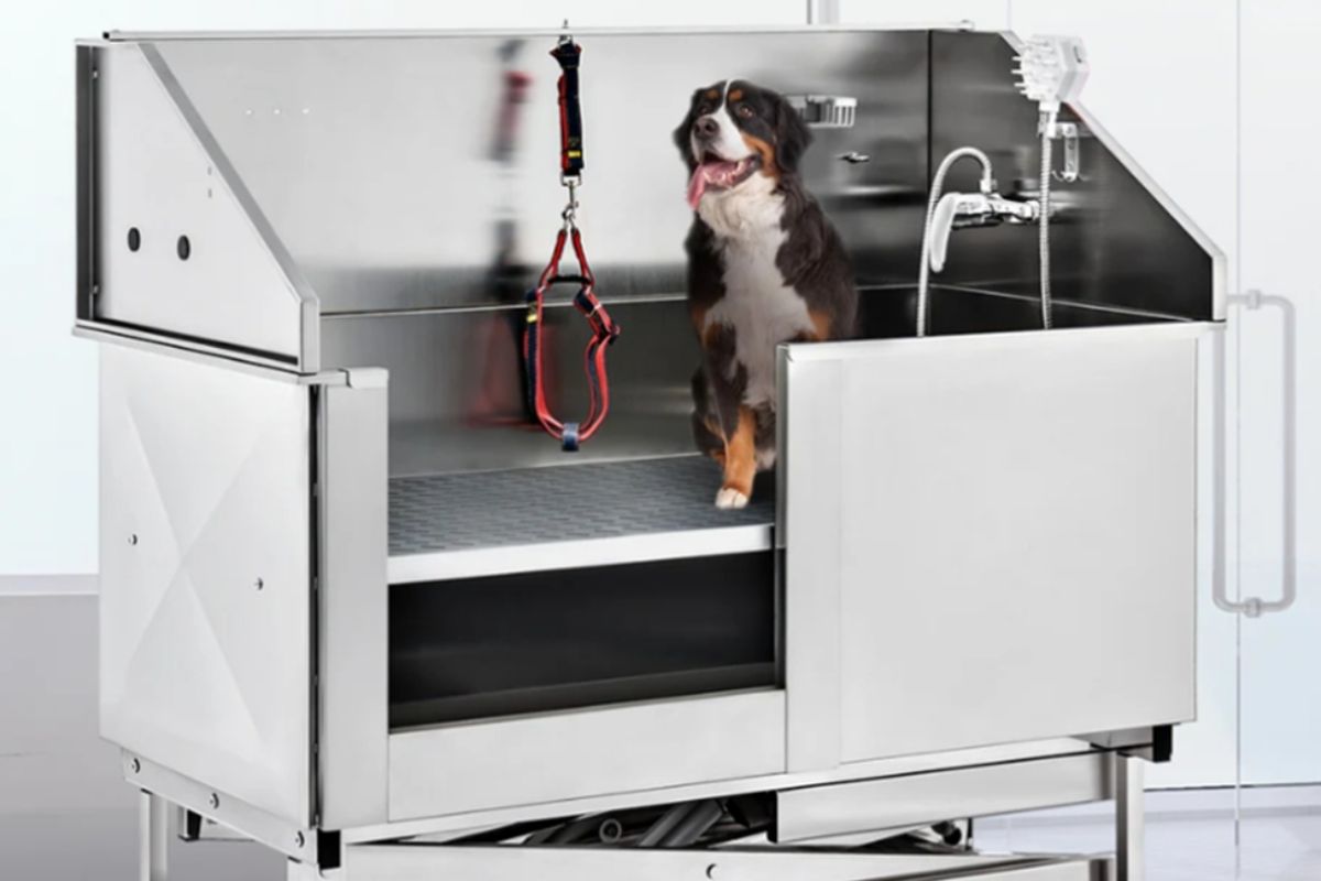 dog wash stations for home