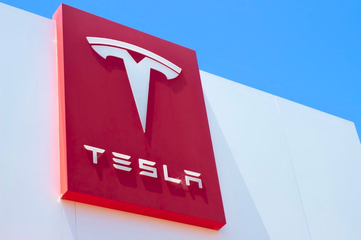 tesla stock price falls